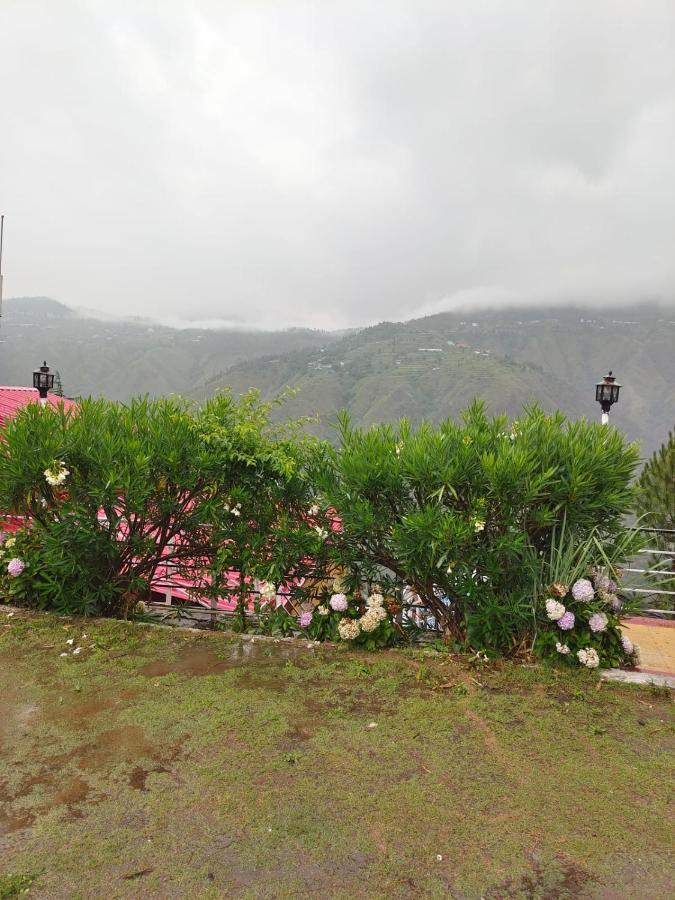 Little Heart Resort Chail Exteriér fotografie