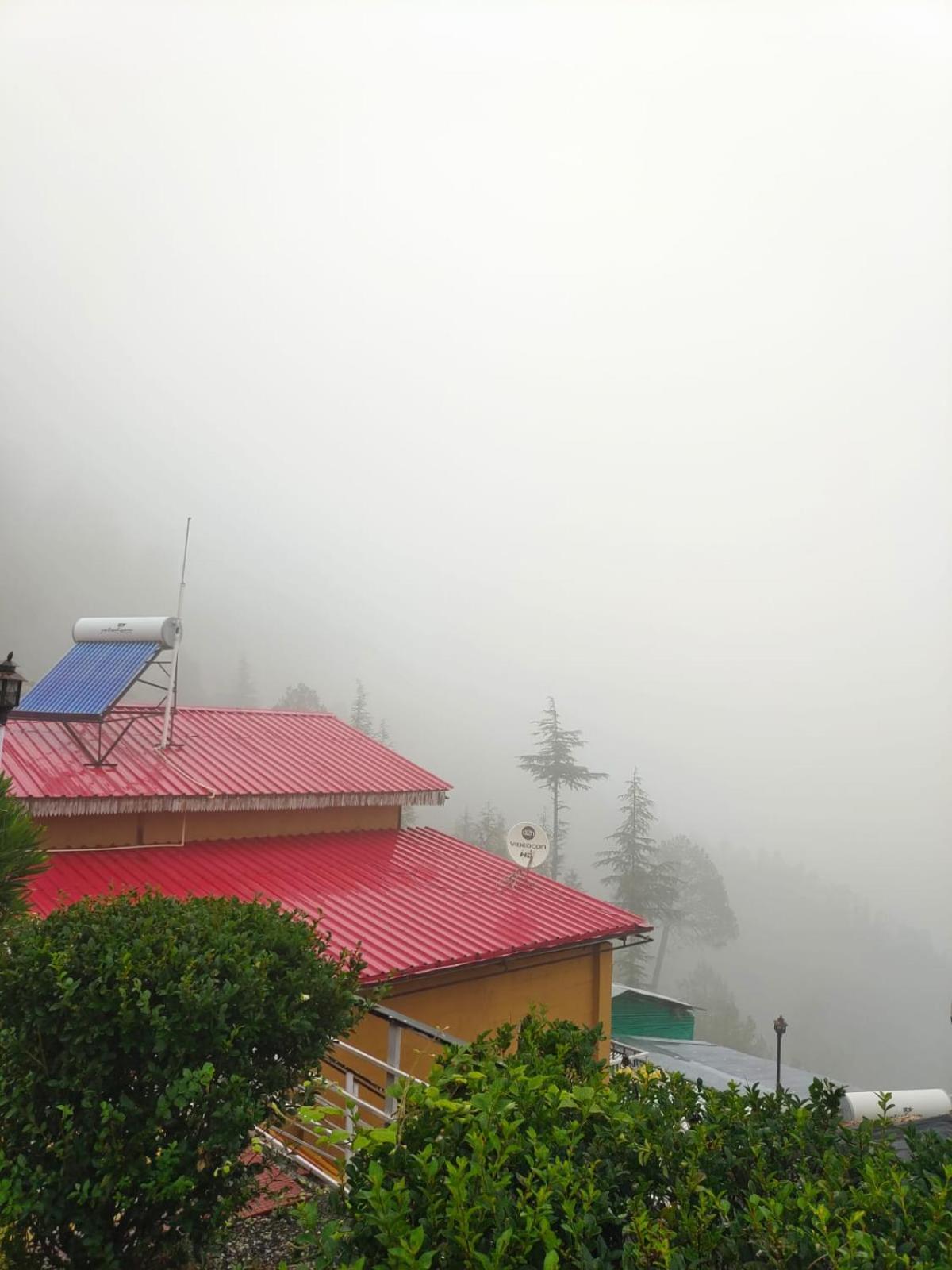 Little Heart Resort Chail Exteriér fotografie