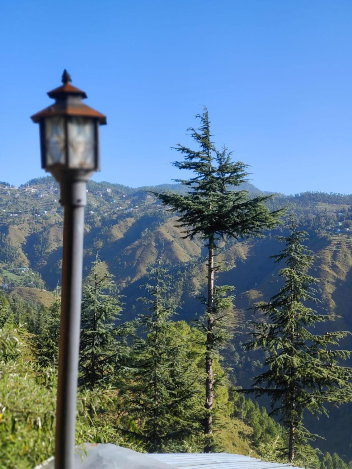 Little Heart Resort Chail Exteriér fotografie