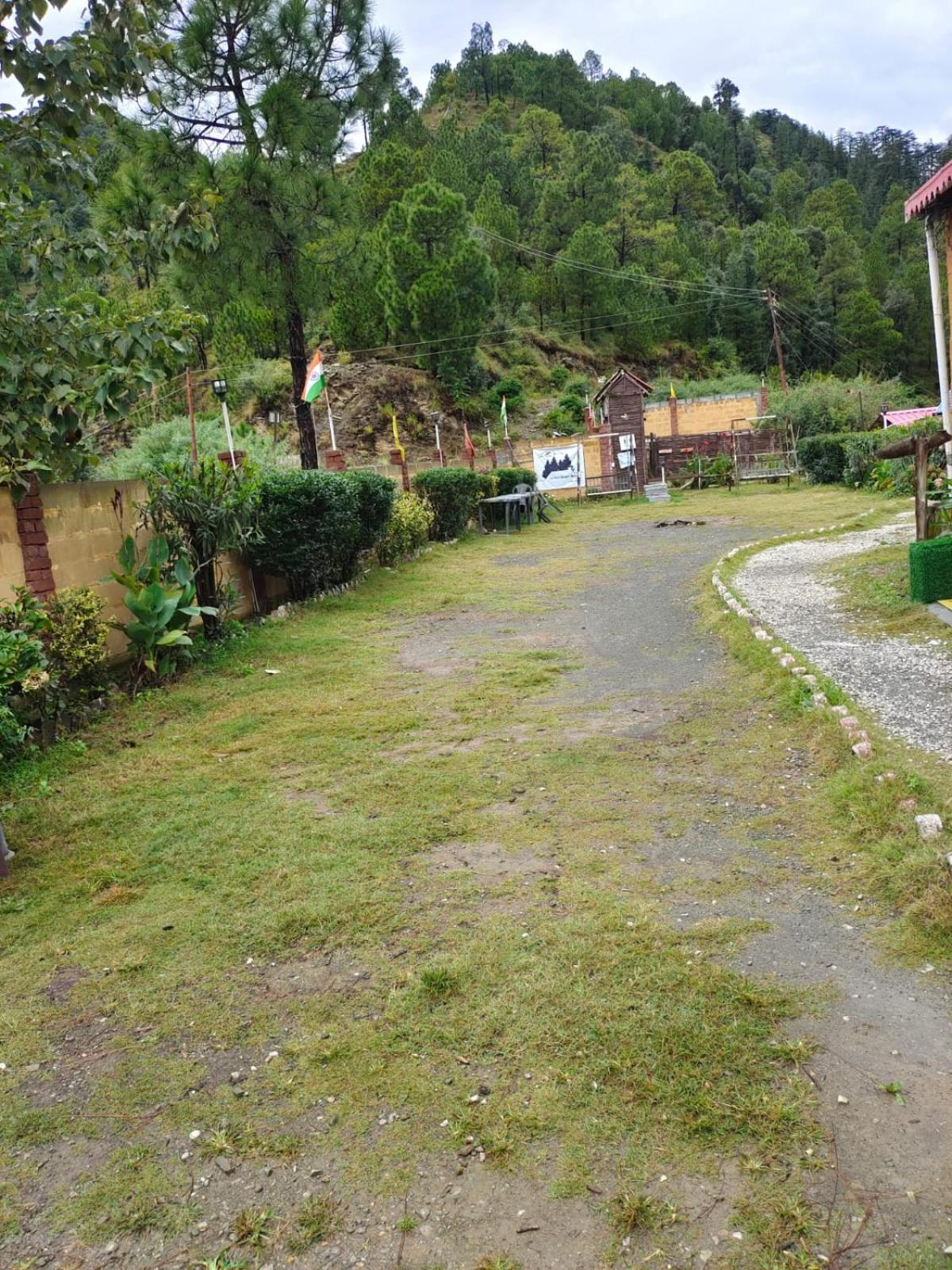 Little Heart Resort Chail Exteriér fotografie