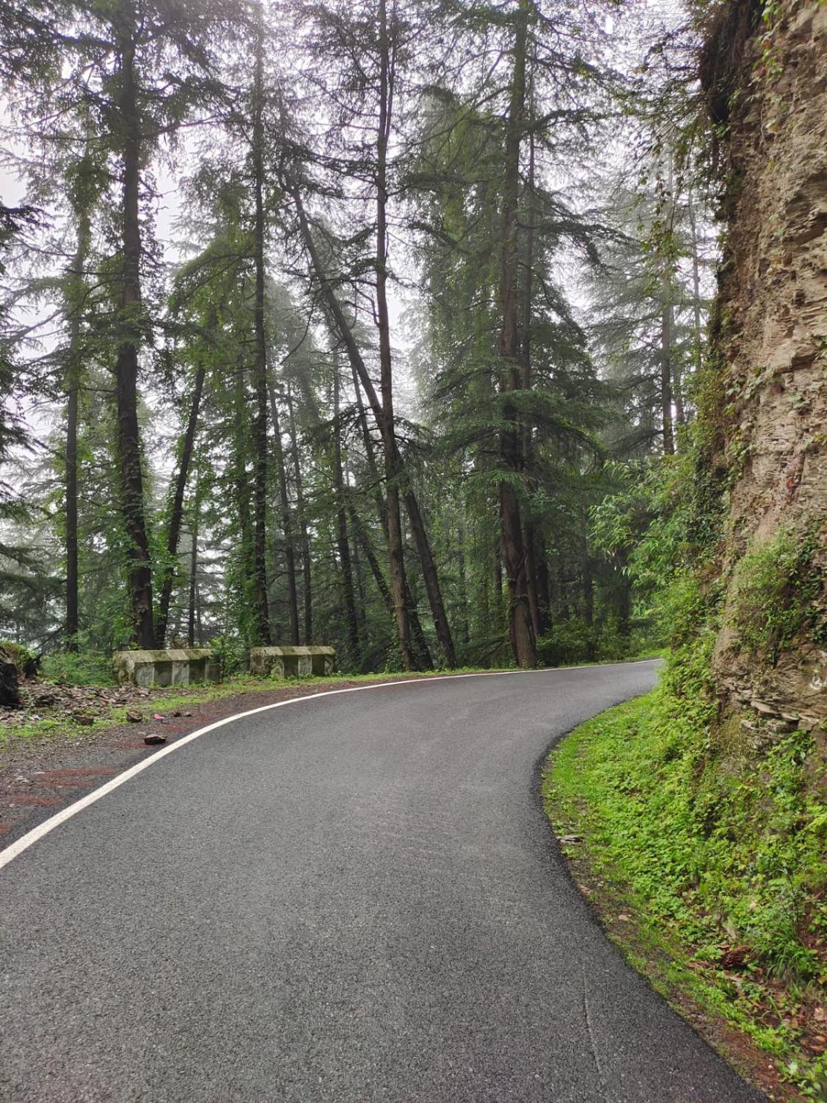 Little Heart Resort Chail Exteriér fotografie